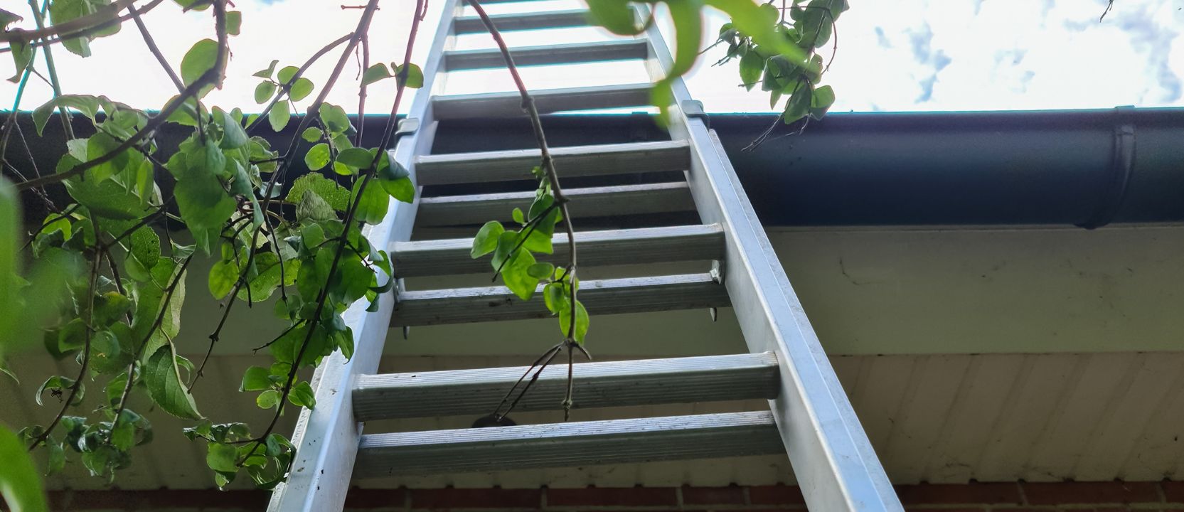 Drabina aluminiowa stoi na deszczu